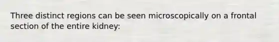 Three distinct regions can be seen microscopically on a frontal section of the entire kidney: