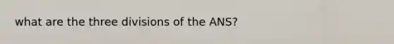 what are the three divisions of the ANS?