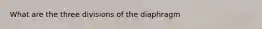 What are the three divisions of the diaphragm