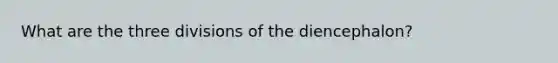 What are the three divisions of the diencephalon?