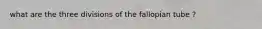 what are the three divisions of the fallopian tube ?