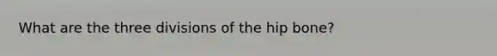 What are the three divisions of the hip bone?