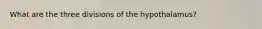 What are the three divisions of the hypothalamus?