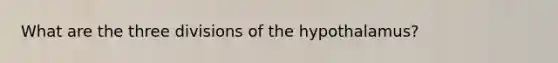 What are the three divisions of the hypothalamus?