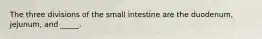 The three divisions of the small intestine are the duodenum, jejunum, and _____.