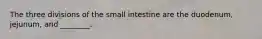 The three divisions of the small intestine are the duodenum, jejunum, and ________.