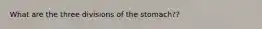 What are the three divisions of the stomach??