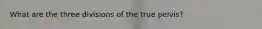 What are the three divisions of the true pelvis?