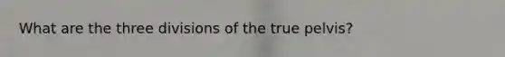 What are the three divisions of the true pelvis?