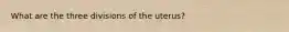 What are the three divisions of the uterus?