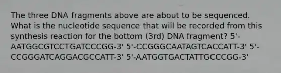 The three DNA fragments above are about to be sequenced. What is the nucleotide sequence that will be recorded from this synthesis reaction for the bottom (3rd) DNA fragment? 5'-AATGGCGTCCTGATCCCGG-3' 5'-CCGGGCAATAGTCACCATT-3' 5'-CCGGGATCAGGACGCCATT-3' 5'-AATGGTGACTATTGCCCGG-3'