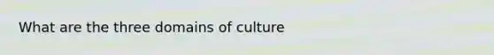 What are the three domains of culture