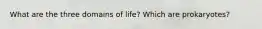 What are the three domains of life? Which are prokaryotes?