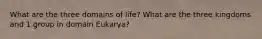 What are the three domains of life? What are the three kingdoms and 1 group in domain Eukarya?