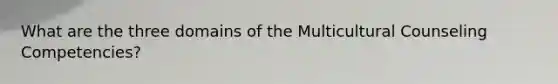 What are the three domains of the Multicultural Counseling Competencies?