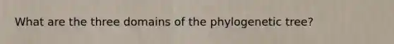 What are the three domains of the phylogenetic tree?