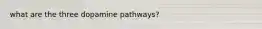 what are the three dopamine pathways?