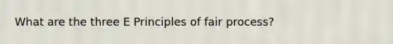 What are the three E Principles of fair process?