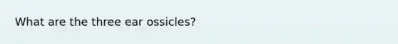 What are the three ear ossicles?