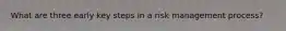 What are three early key steps in a risk management process?