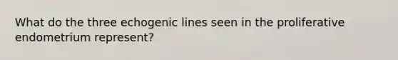 What do the three echogenic lines seen in the proliferative endometrium represent?
