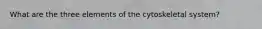 What are the three elements of the cytoskeletal system?
