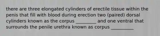 there are three elongated cylinders of erectile tissue within the penis that fill with blood during erection two (paired) dorsal cylinders known as the corpus _________ and one ventral that surrounds the penile urethra known as corpus __________