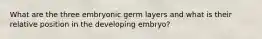 What are the three embryonic germ layers and what is their relative position in the developing embryo?