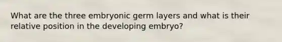 What are the three embryonic germ layers and what is their relative position in the developing embryo?