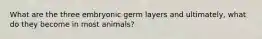 What are the three embryonic germ layers and ultimately, what do they become in most animals?