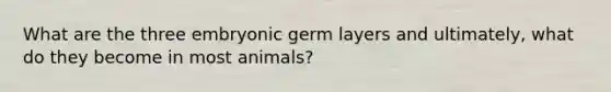 What are the three embryonic germ layers and ultimately, what do they become in most animals?