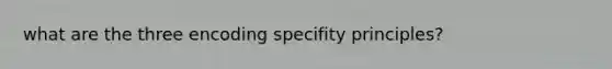 what are the three encoding specifity principles?