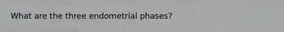 What are the three endometrial phases?