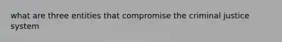 what are three entities that compromise the criminal justice system