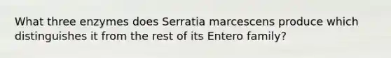 What three enzymes does Serratia marcescens produce which distinguishes it from the rest of its Entero family?