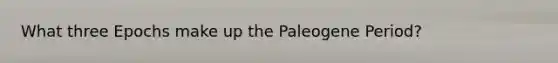 What three Epochs make up the Paleogene Period?