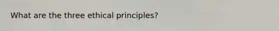 What are the three ethical principles?