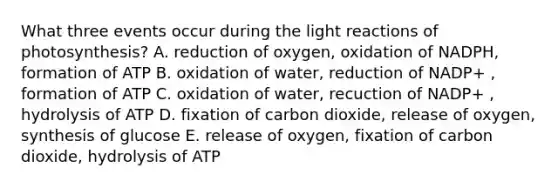 What three events occur during the light reactions of photosynthesis? A. reduction of oxygen, oxidation of NADPH, formation of ATP B. oxidation of water, reduction of NADP+ , formation of ATP C. oxidation of water, recuction of NADP+ , hydrolysis of ATP D. fixation of carbon dioxide, release of oxygen, synthesis of glucose E. release of oxygen, fixation of carbon dioxide, hydrolysis of ATP