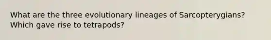 What are the three evolutionary lineages of Sarcopterygians? Which gave rise to tetrapods?