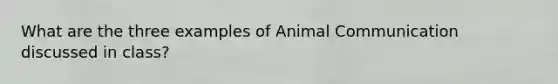 What are the three examples of Animal Communication discussed in class?