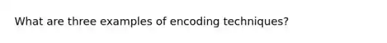 What are three examples of encoding techniques?