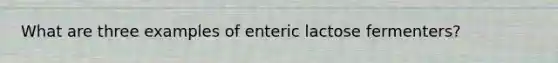 What are three examples of enteric lactose fermenters?