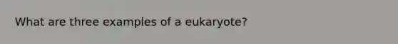 What are three examples of a eukaryote?