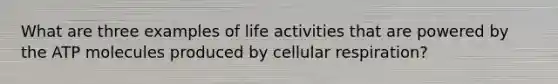 What are three examples of life activities that are powered by the ATP molecules produced by cellular respiration?