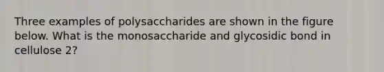 Three examples of polysaccharides are shown in the figure below. What is the monosaccharide and glycosidic bond in cellulose 2?