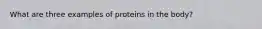 What are three examples of proteins in the body?