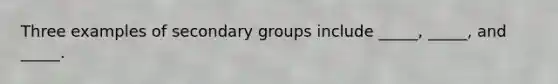 Three examples of secondary groups include _____, _____, and _____.