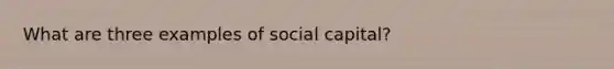 What are three examples of social capital?