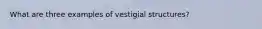 What are three examples of vestigial structures?