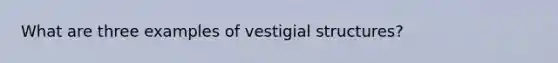 What are three examples of vestigial structures?